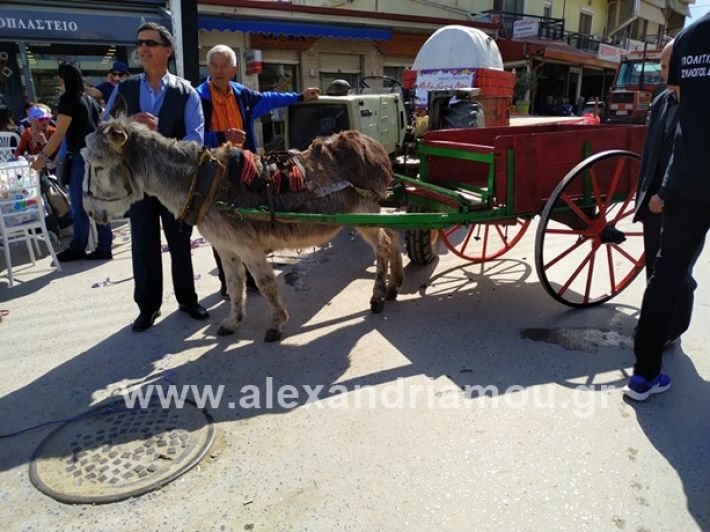 alexandriamou_meliki1201953717352_542905299535147_383275859223511040_n