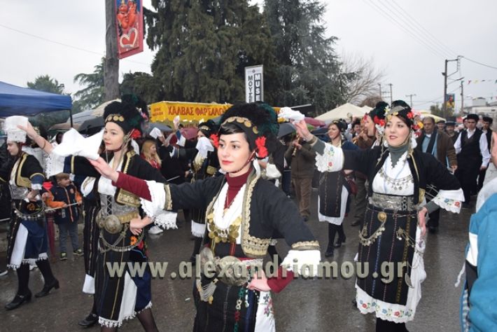 alexandriamou.gr_melikikarnavali18003