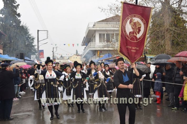 alexandriamou.gr_melikikarnavali18011