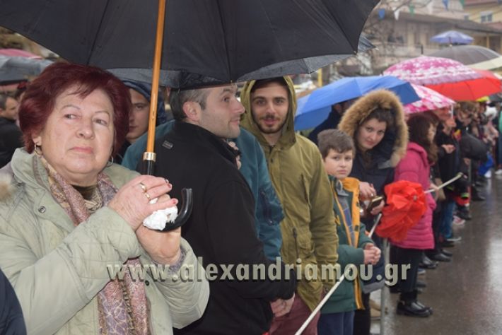 alexandriamou.gr_melikikarnavali18014