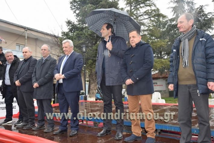 alexandriamou.gr_melikikarnavali18020