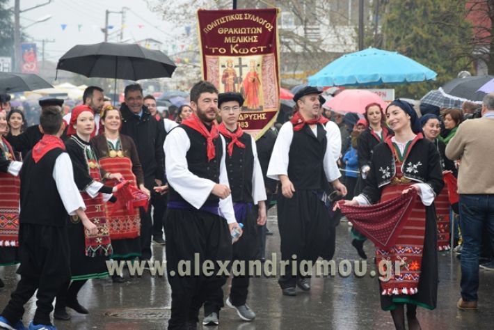 alexandriamou.gr_melikikarnavali18023