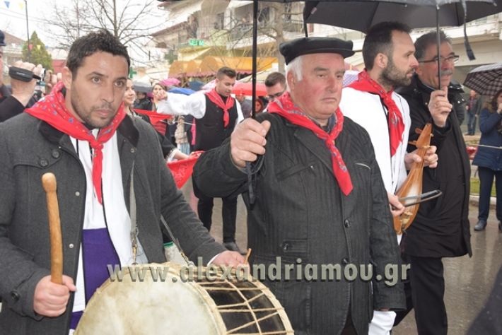 alexandriamou.gr_melikikarnavali18026