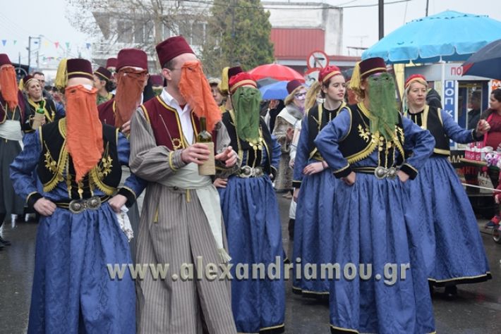 alexandriamou.gr_melikikarnavali18030