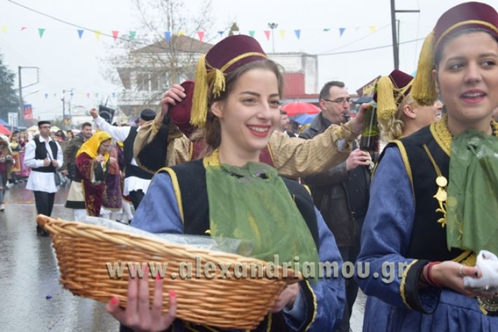 alexandriamou.gr_melikikarnavali18035