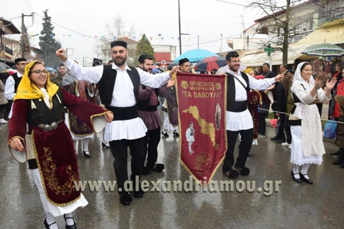 alexandriamou.gr_melikikarnavali18040