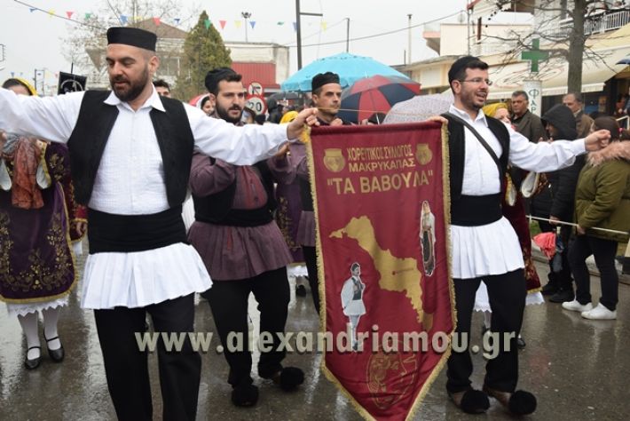 alexandriamou.gr_melikikarnavali18041