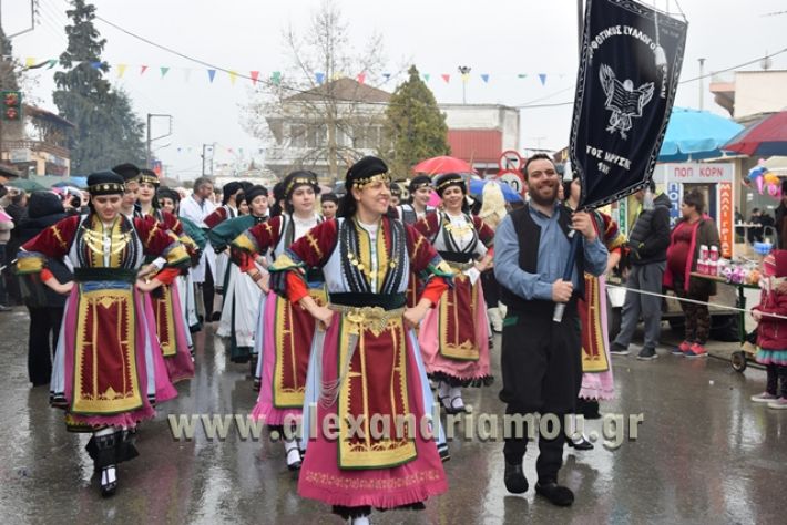 alexandriamou.gr_melikikarnavali18045