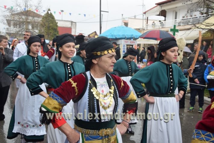 alexandriamou.gr_melikikarnavali18049