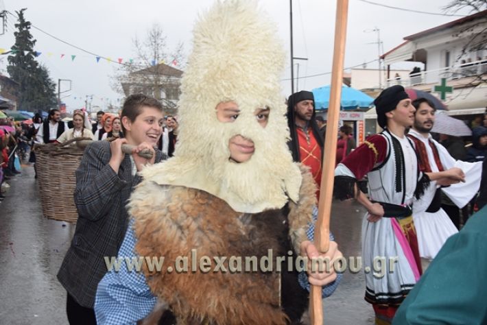 alexandriamou.gr_melikikarnavali18051