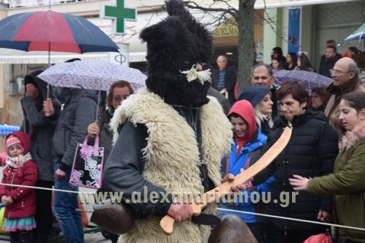 alexandriamou.gr_melikikarnavali18053