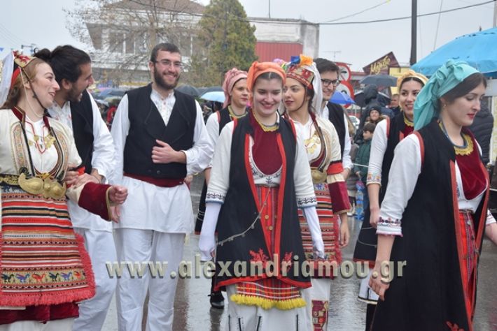 alexandriamou.gr_melikikarnavali18054