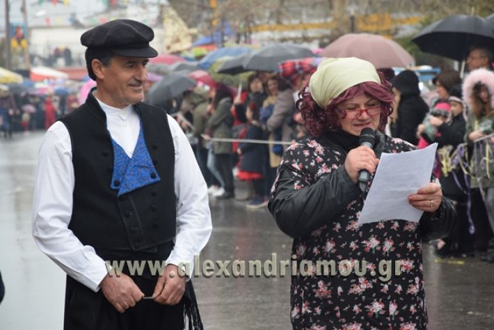 alexandriamou.gr_melikikarnavali18062