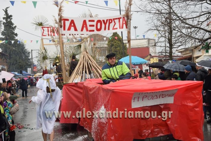 alexandriamou.gr_melikikarnavali18073