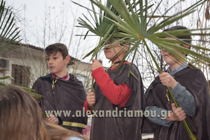 alexandriamou.gr_melikikarnavali18078