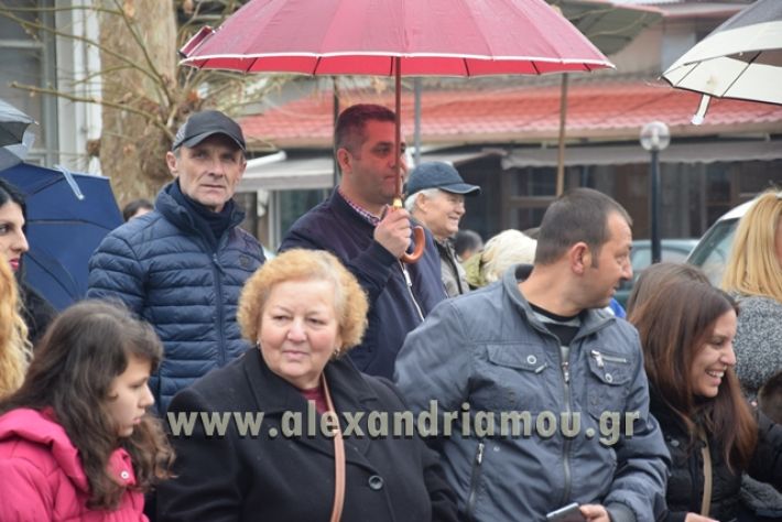 alexandriamou.gr_melikikarnavali18095