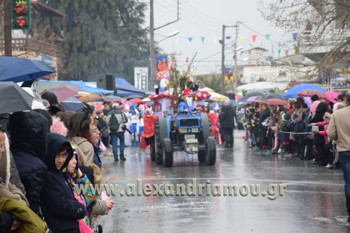 alexandriamou.gr_melikikarnavali18097