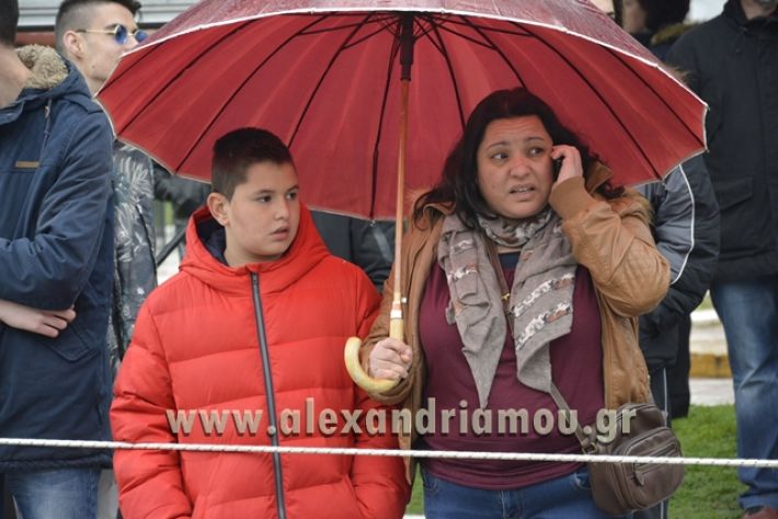 alexandriamou.gr_meliki_karnavali2018001004