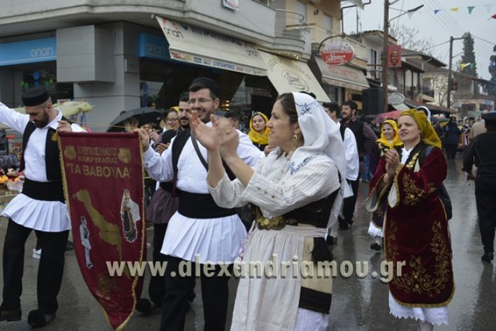 alexandriamou.gr_meliki_karnavali2018001009