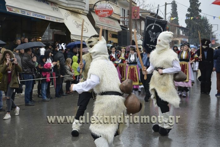 alexandriamou.gr_meliki_karnavali2018001011