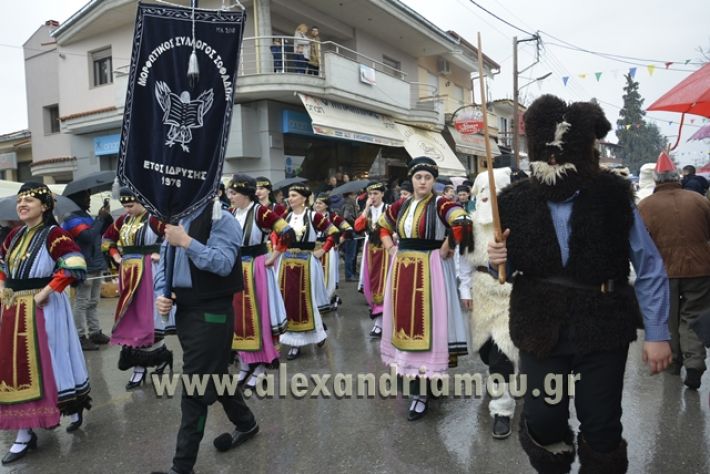 alexandriamou.gr_meliki_karnavali2018001013