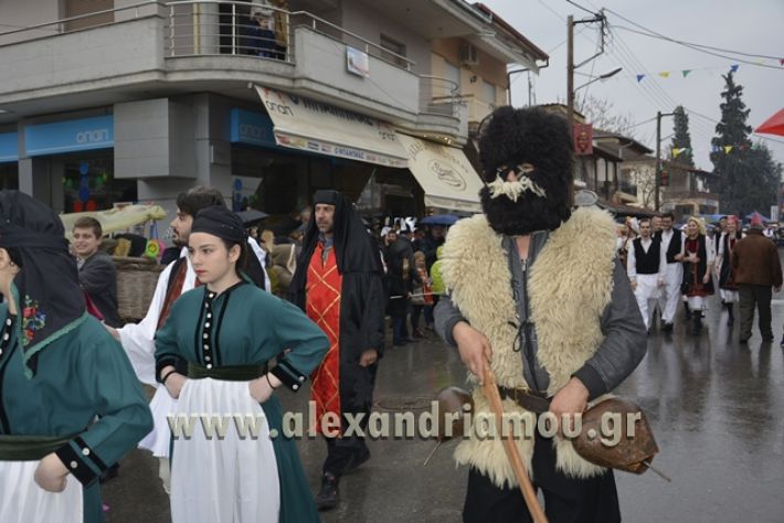 alexandriamou.gr_meliki_karnavali2018001015