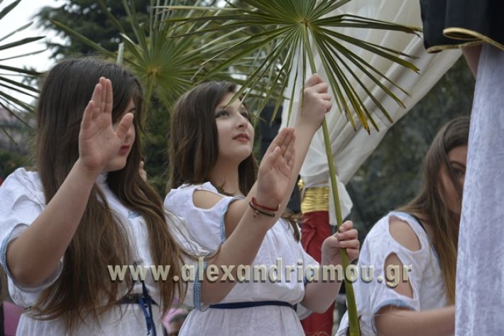 alexandriamou.gr_meliki_karnavali2018001031