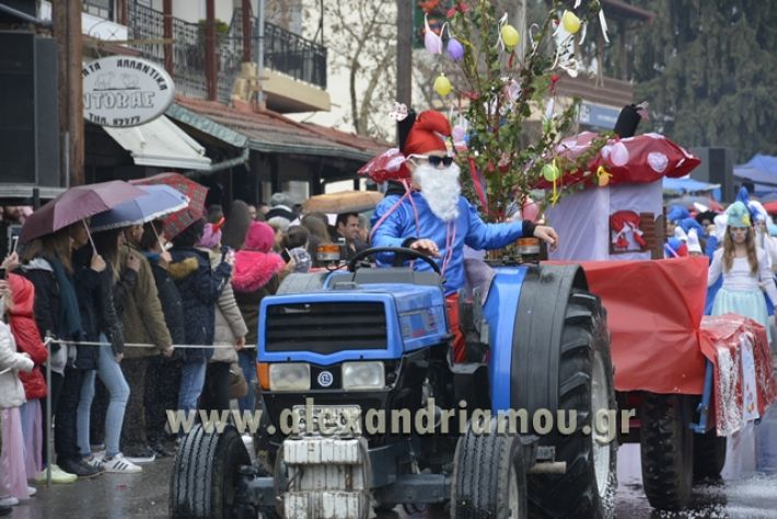 alexandriamou.gr_meliki_karnavali2018001042