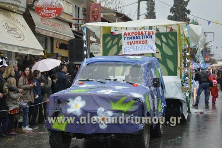 alexandriamou.gr_meliki_karnavali2018001050