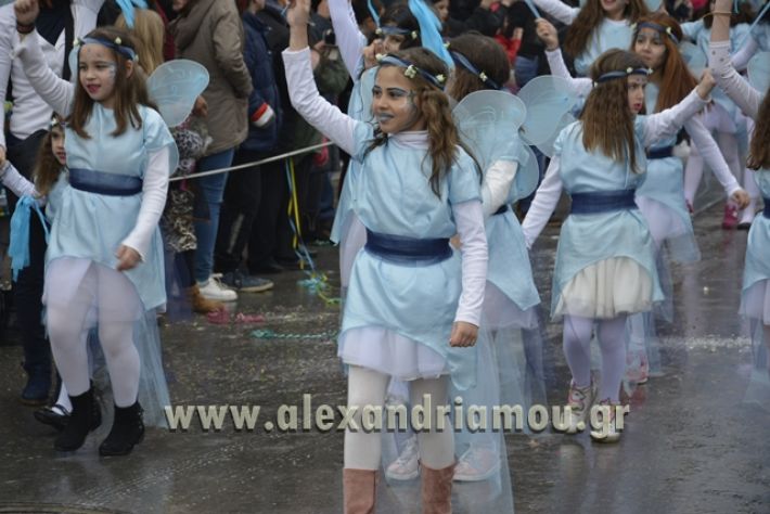 alexandriamou.gr_meliki_karnavali2018001051