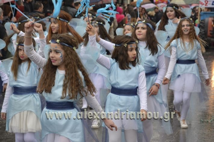 alexandriamou.gr_meliki_karnavali2018001053