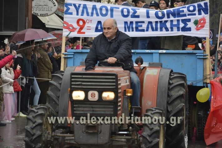 alexandriamou.gr_meliki_karnavali2018001057