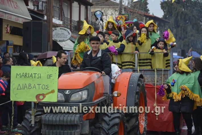 alexandriamou.gr_meliki_karnavali2018001064