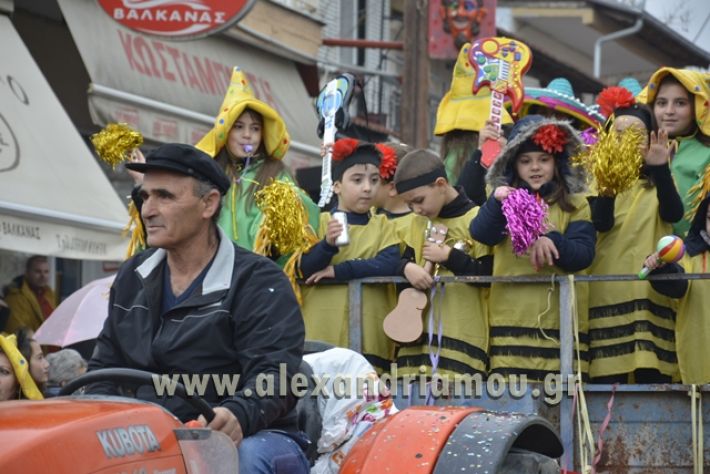 alexandriamou.gr_meliki_karnavali2018001065