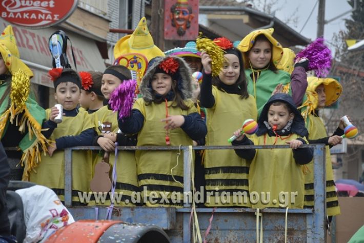 alexandriamou.gr_meliki_karnavali2018001066