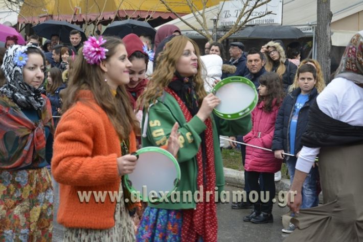 alexandriamou.gr_meliki_karnavali2018001074