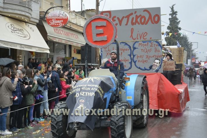 alexandriamou.gr_meliki_karnavali2018001086