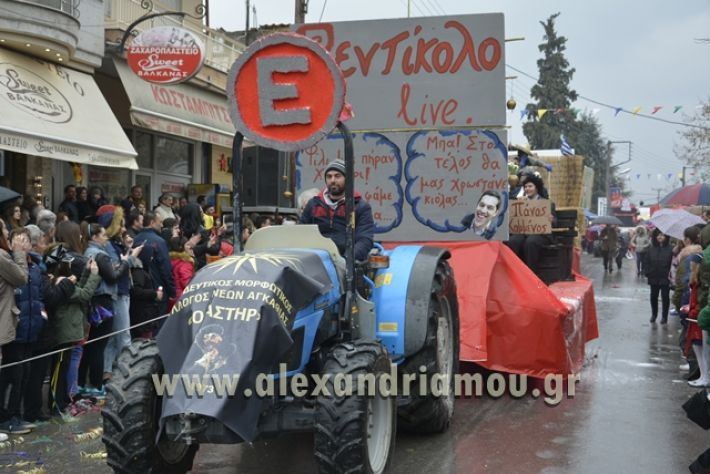 alexandriamou.gr_meliki_karnavali2018001087