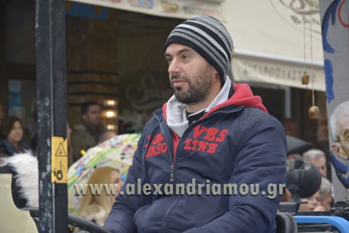 alexandriamou.gr_meliki_karnavali2018001091