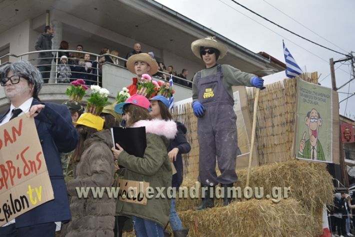 alexandriamou.gr_meliki_karnavali2018001097