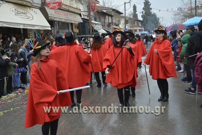 alexandriamou.gr_meliki_karnavali2018001106