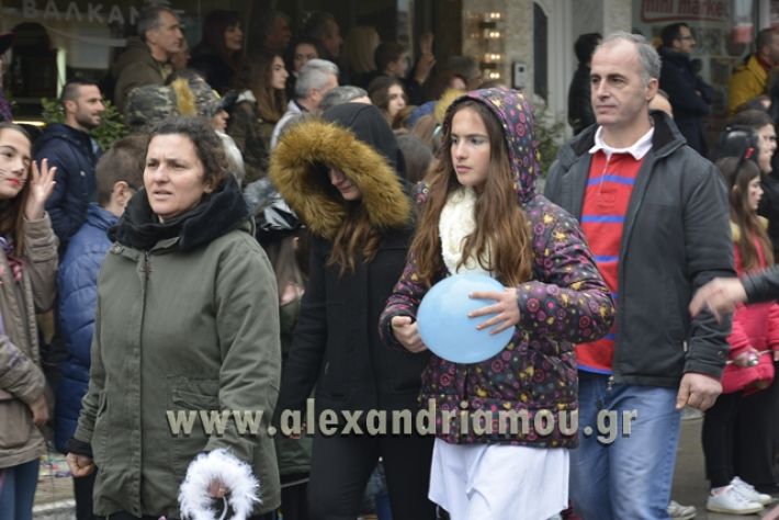 alexandriamou.gr_meliki_karnavali2018001110