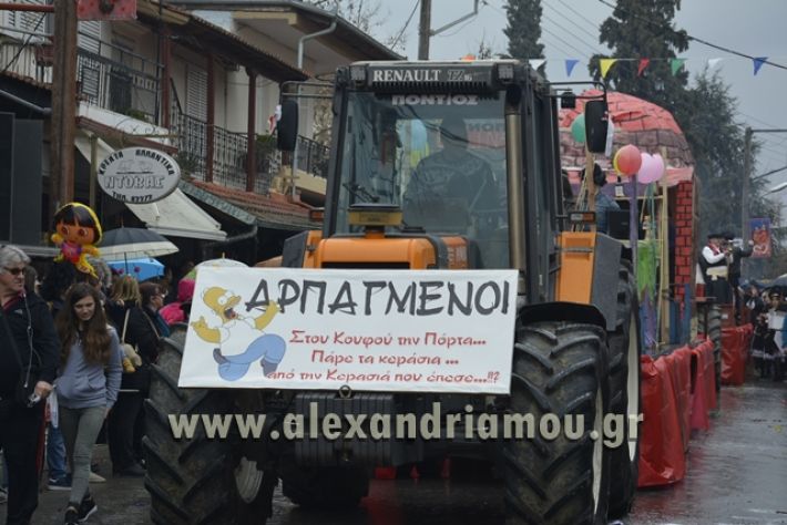 alexandriamou.gr_meliki_karnavali2018001112