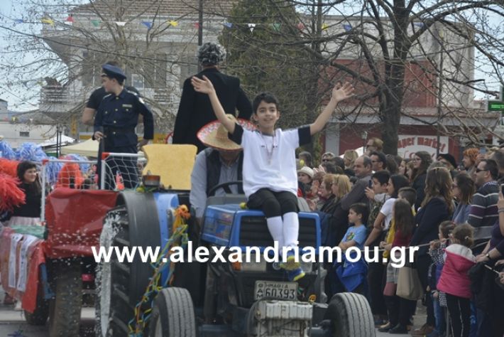 alexandriamou.gr_meliki192027