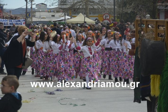 alexandriamou.gr_meliki192042