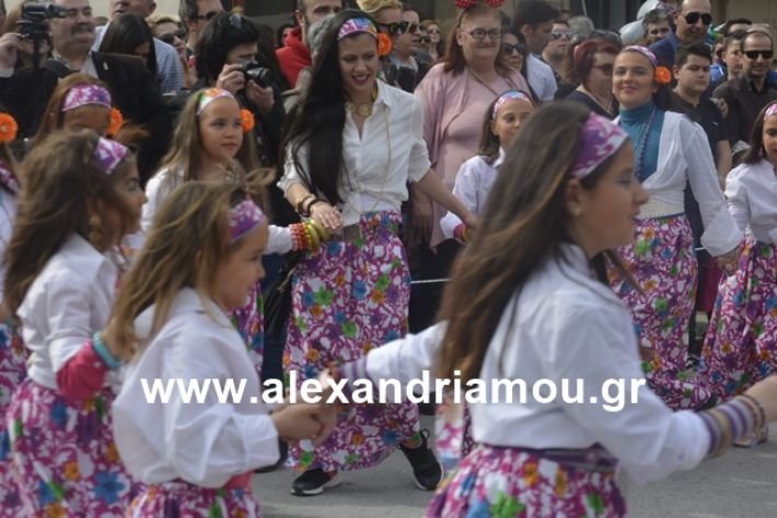 alexandriamou.gr_meliki192050