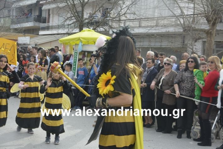 alexandriamou.gr_meliki192129