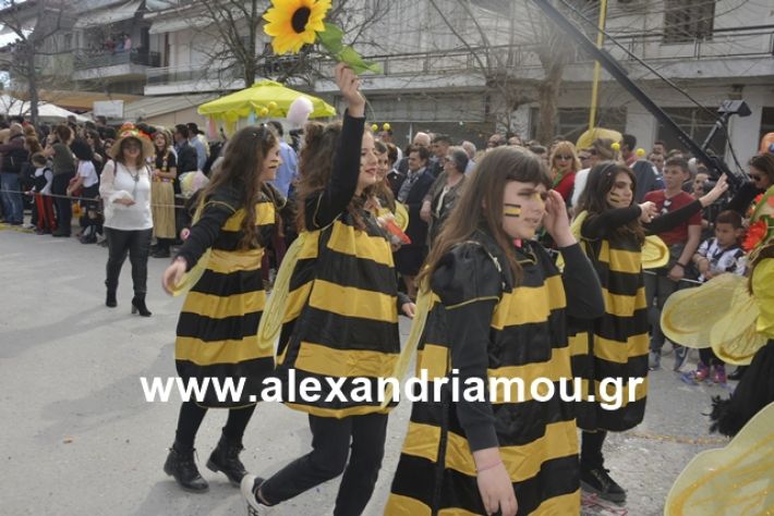 alexandriamou.gr_meliki192133