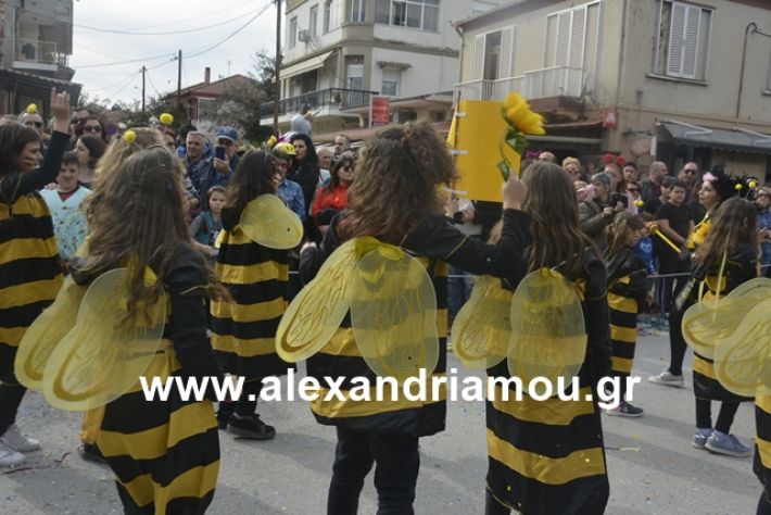 alexandriamou.gr_meliki192134