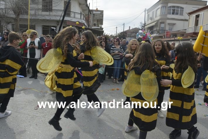 alexandriamou.gr_meliki192135